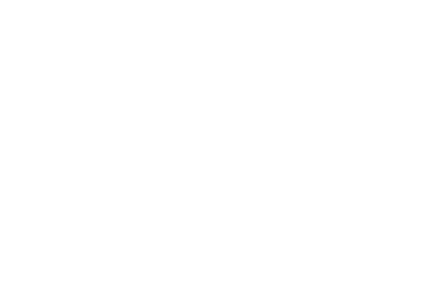 Pace American Decal Sticker