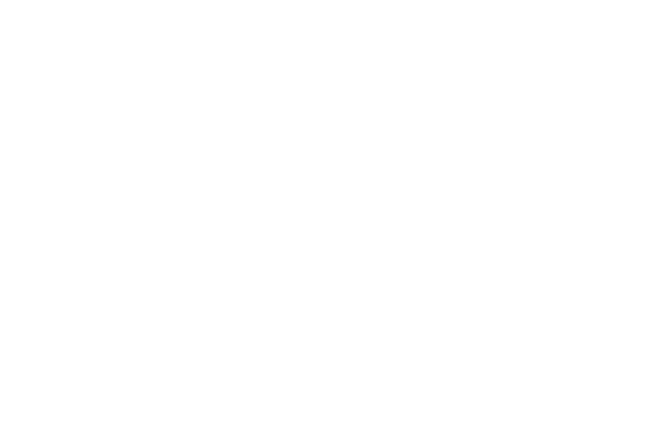 Pace_Logo_WHITE