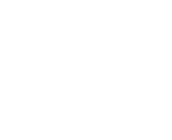 Pace_Logo_CMYK_White