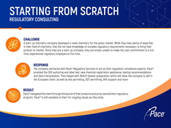 REG_Case Study_Consulting