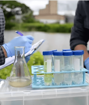 Screenshot 2026-02-10 090115