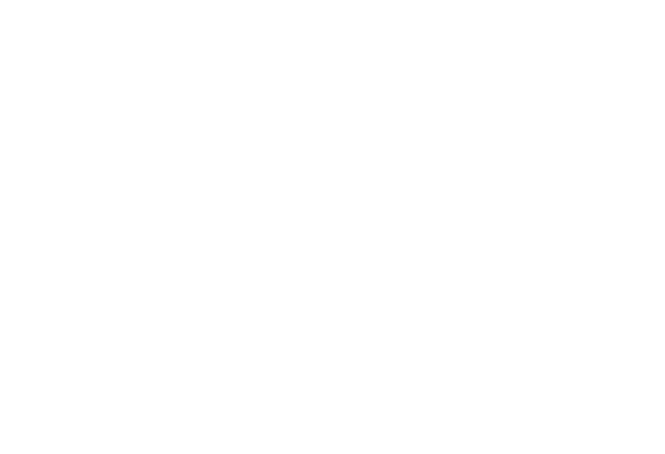 pace logo header white
