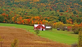 rural new york
